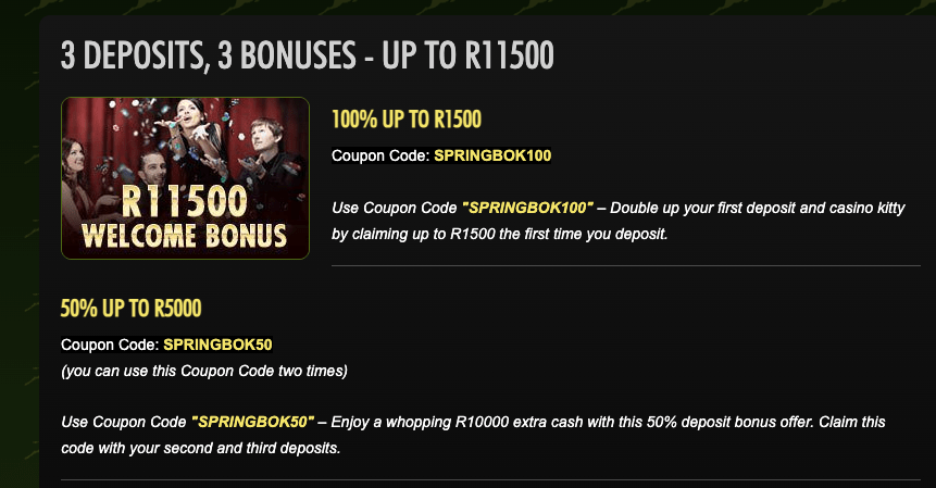 Springbok casino desktop banner